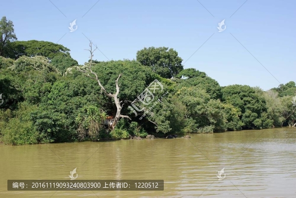 埃塞俄比亞的風景