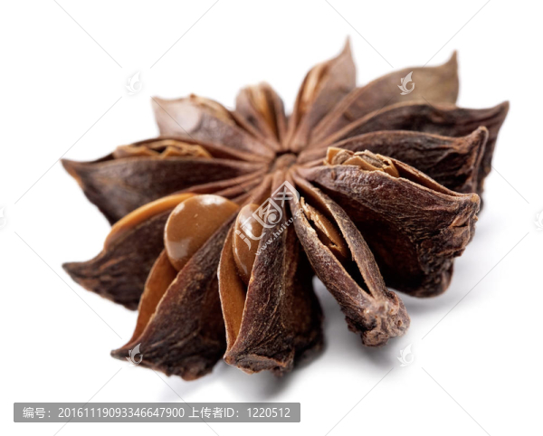 干茴香香料在白色背景和陰影