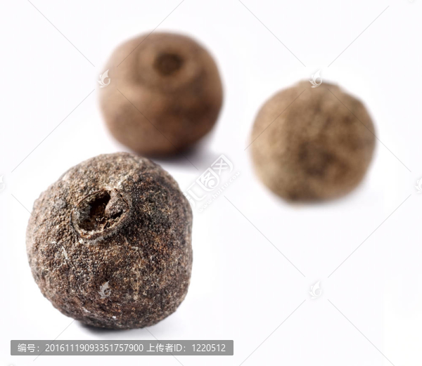 在白色背景的多香果種子的特寫