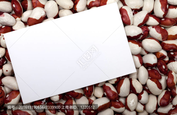 扁豆背景空卡價(jià)格