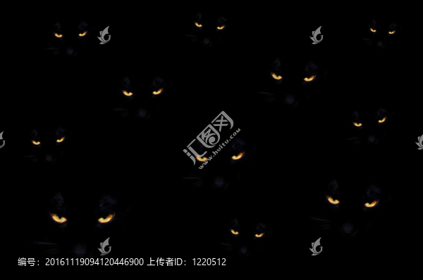 邪惡的貓