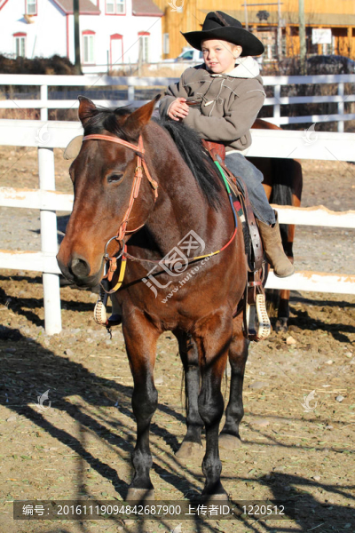 牛仔-匯圖網(wǎng) www.fosd68.com 牛仔