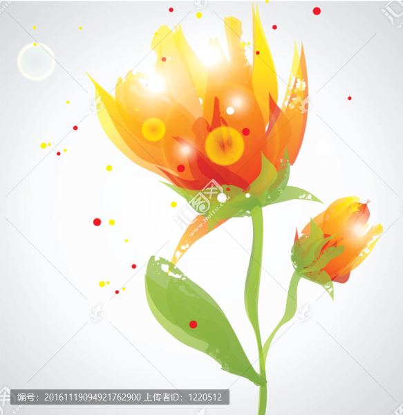 透明的花