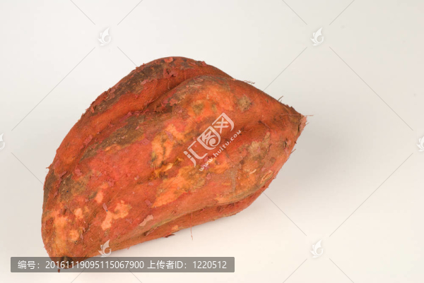 甘薯
