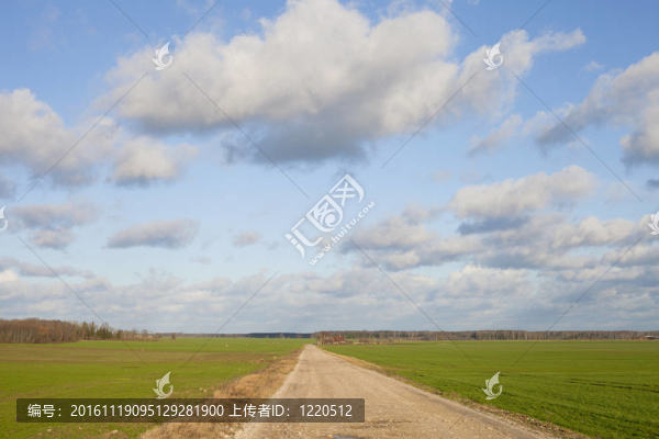 農(nóng)村公路。