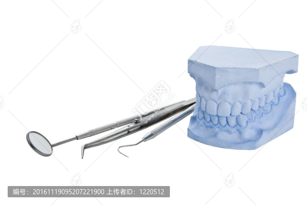 義齒鑄造模型和牙科工具集