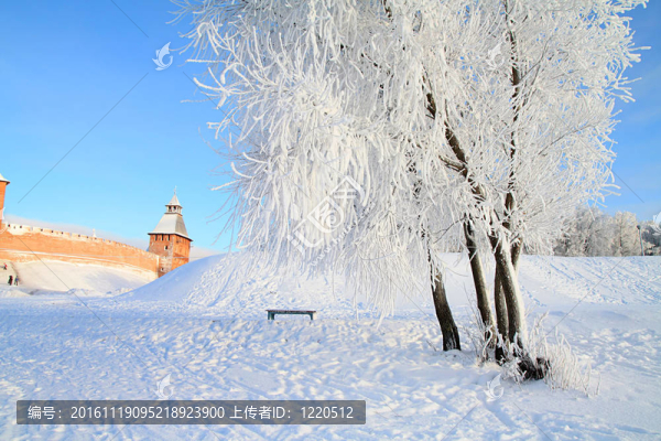 在雪中的樹反對舊的堡壘