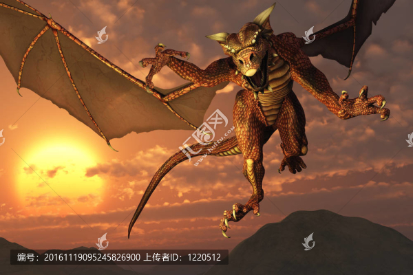 森塞特飛龍