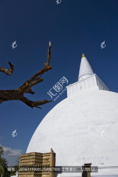 Mirisavetiya,Stupa；阿努拉德普勒；斯里蘭卡