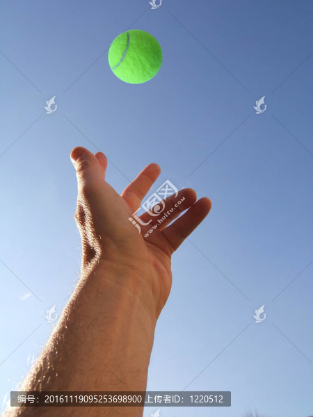 擲網(wǎng)球