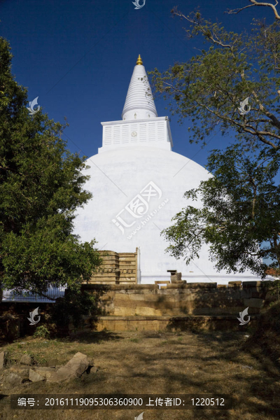 Mirisavetiya,Stupa；阿努拉德普勒；斯里蘭卡