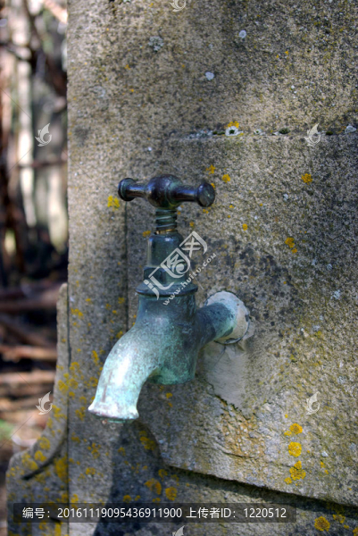 龍頭特寫-匯圖網(wǎng) www.fosd68.com 龍頭特寫