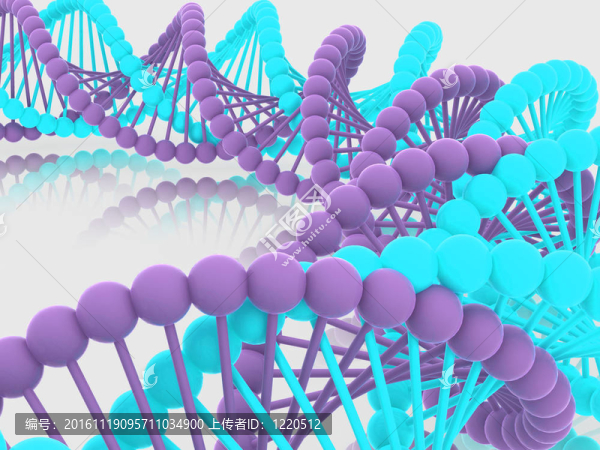 基因在DNA