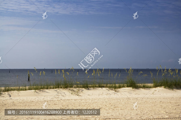 海灘上的撇油艇