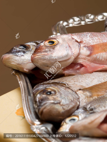 在盤子上清洗新鮮的魚