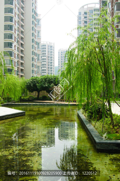 新小區(qū)中心花園