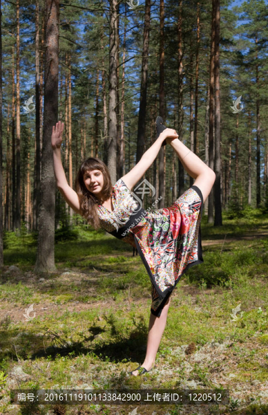 優(yōu)雅的木材