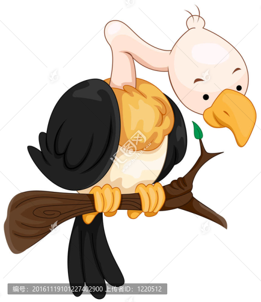 禿鷲