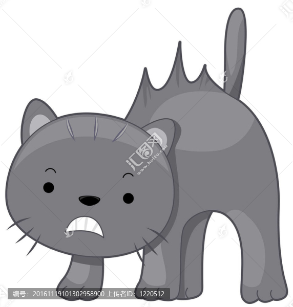 貓