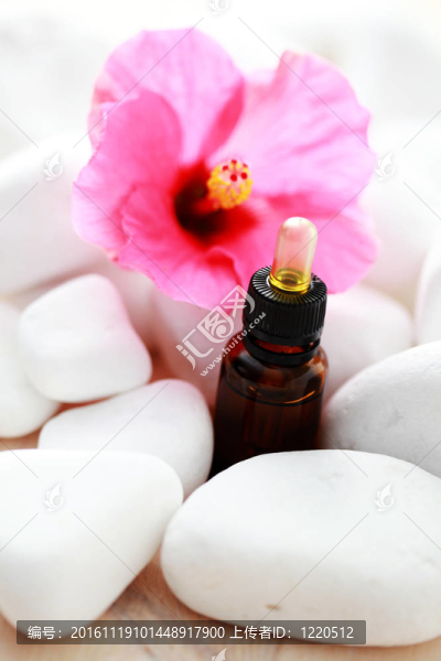 芙蓉精油