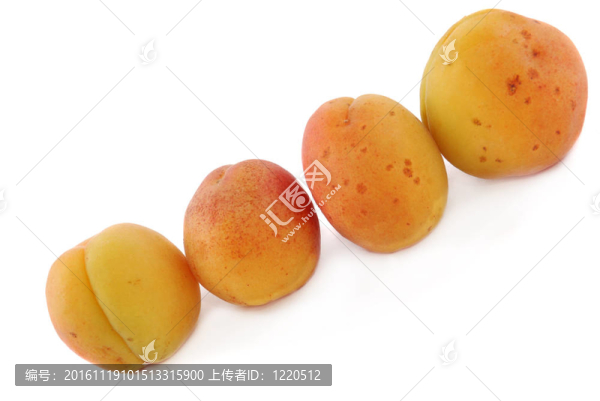 杏果實