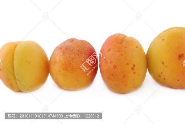 杏果實