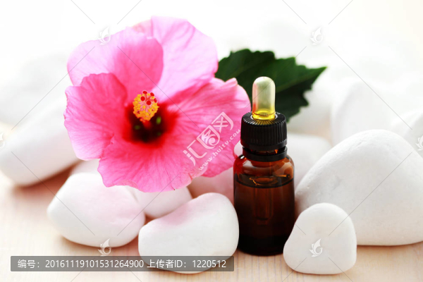 芙蓉精油