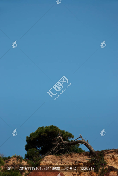 阿爾加維；葡萄牙