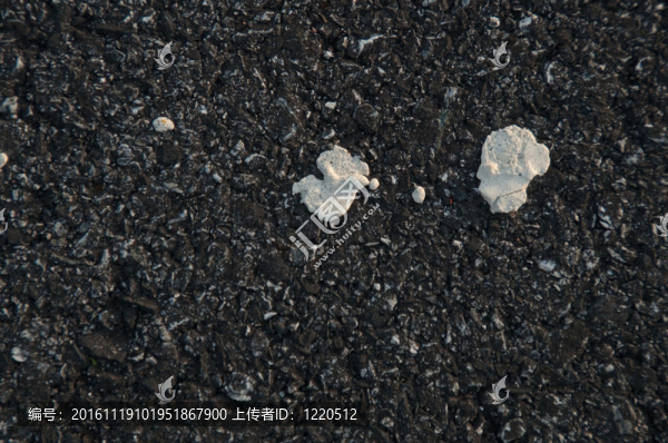 瀝青路面上的白色水滴。