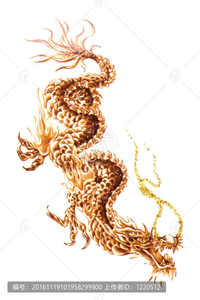 龍紋身宏隔離