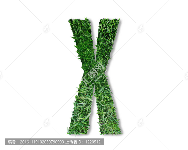 X