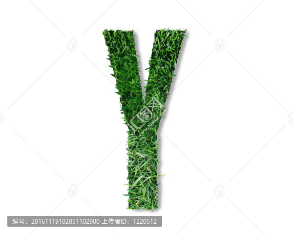 Y