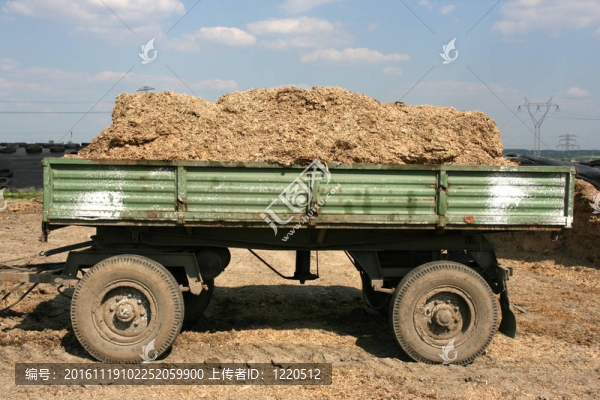 肥-匯圖網(wǎng) www.fosd68.com 肥