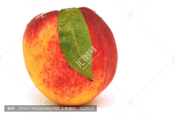 油桃