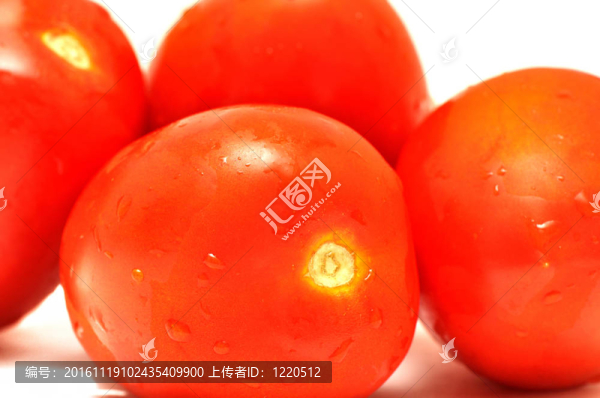 西紅柿