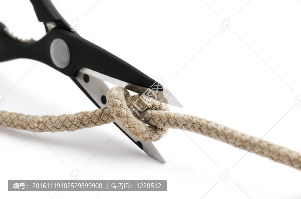 切Gordian,Knot