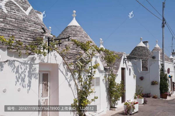 特魯利。阿爾貝羅貝洛。Apulia。