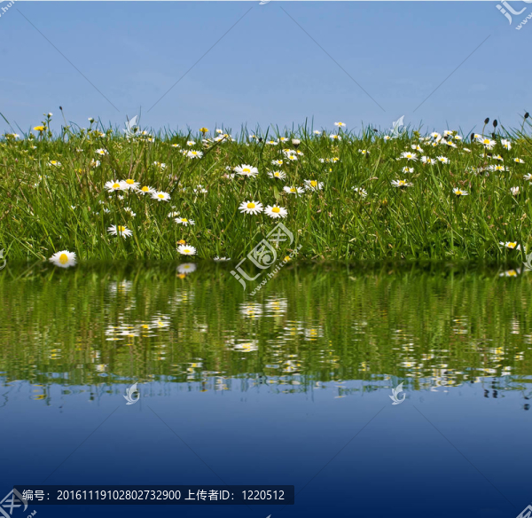 草甸水