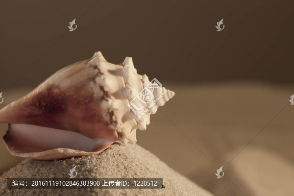 空空的小船