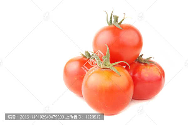 辣椒和西紅柿