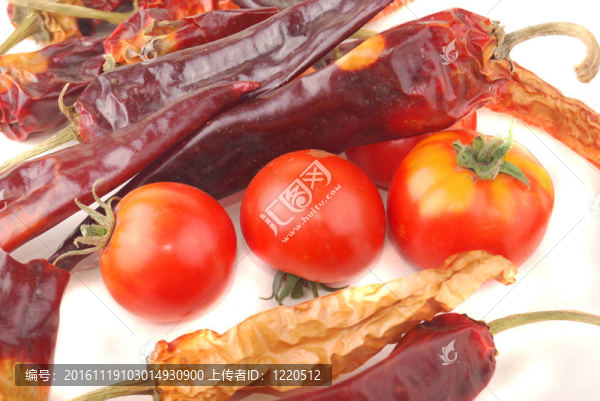 辣椒和西紅柿