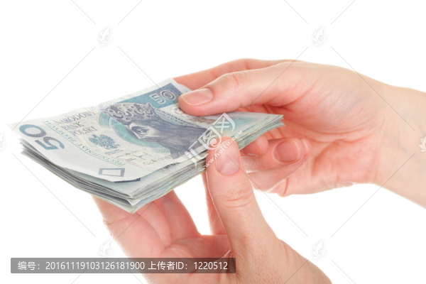 手上隔離的波蘭貨幣