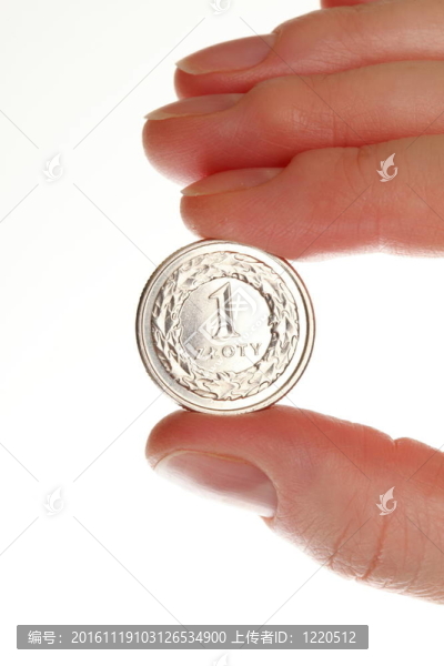手上隔離的波蘭貨幣