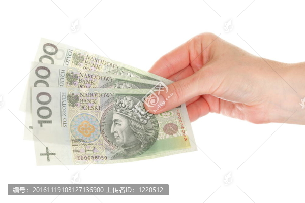 手上隔離的波蘭貨幣