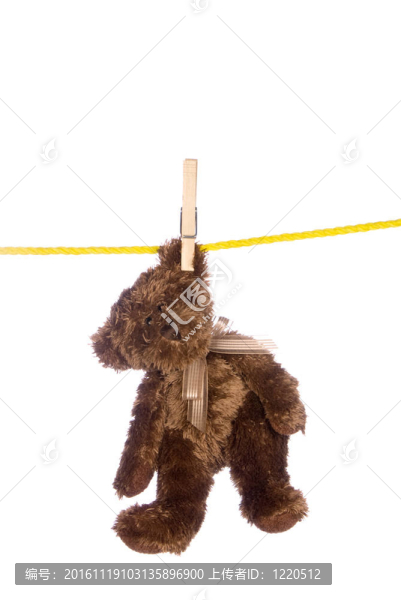 泰迪熊掛在晾衣繩上