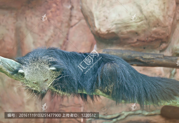 獨自承受
