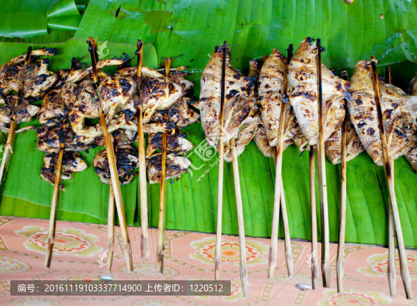 烤青蛙-匯圖網(wǎng) www.fosd68.com 烤青蛙