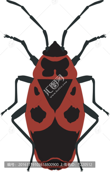插畫甲蟲士兵(Pyrrhocoris,apterus)在白色背景-匯圖網(wǎng) www.fosd68.com 插畫甲蟲士兵(Pyrrhocoris,apterus)在白色背景
