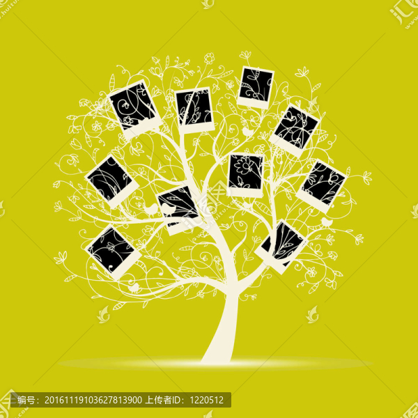 家譜設(shè)計；將照片插入相框