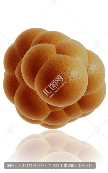 干細(xì)胞-匯圖網(wǎng) www.fosd68.com 干細(xì)胞